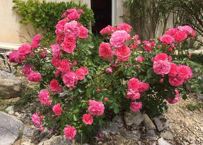 Bastide 4*