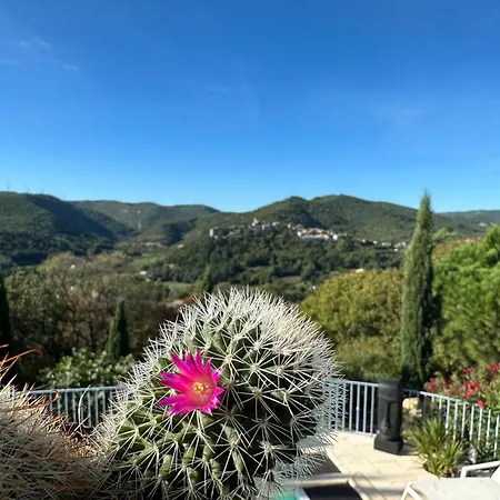 Bastide Saint-thomé Couette-café 3*
